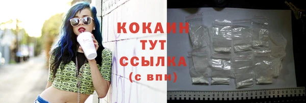 стаф Балахна