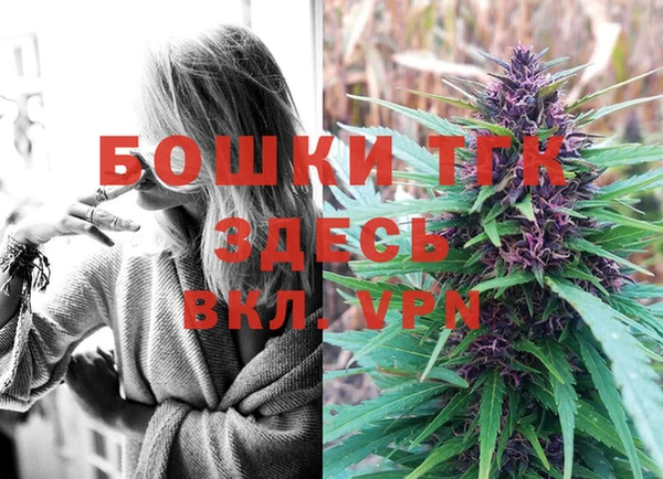 стаф Балахна