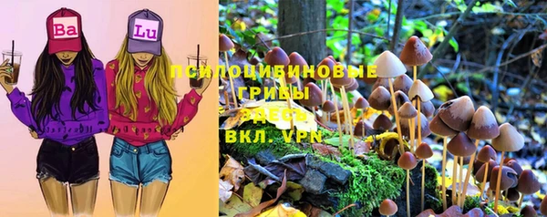 стаф Балахна
