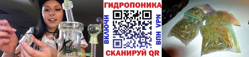 Бошки Шишки планчик Кола